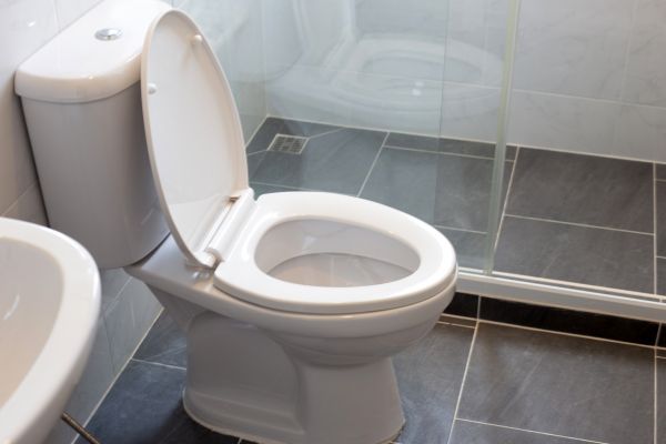 Cost of Toilet Replacement in Muncie