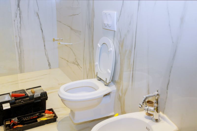 Toilet Replacement detail