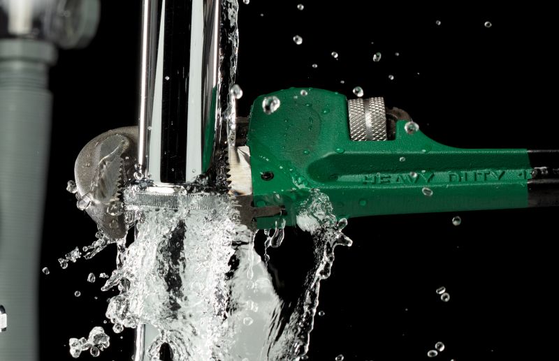 Plumbing Maintenance in Spring