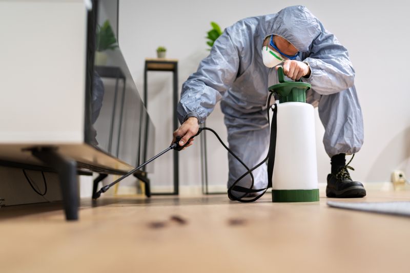 Insect Extermination Service